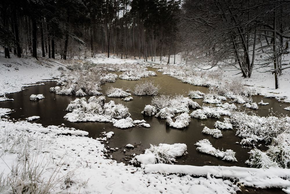 Winterlandschaft