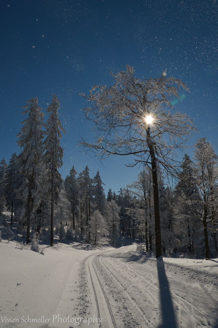 Winterlandschaft