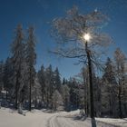 Winterlandschaft