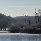 Winterlandschaft