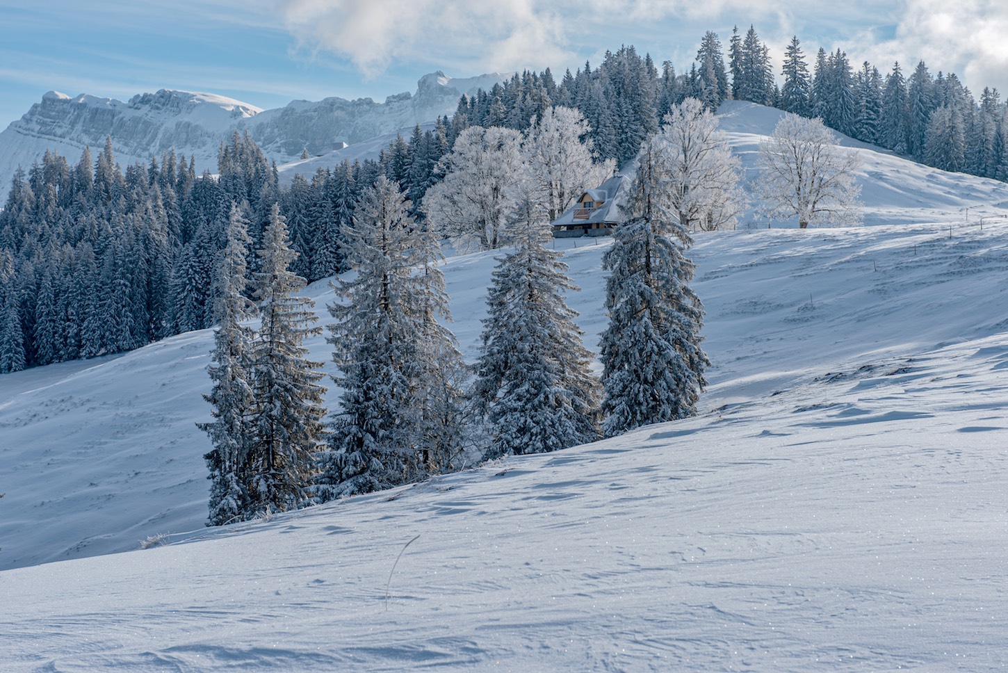 Winterlandschaft