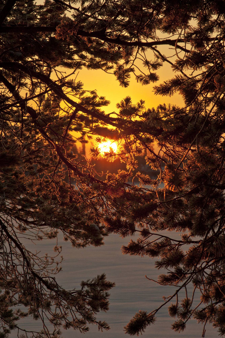 Winterlandschaft