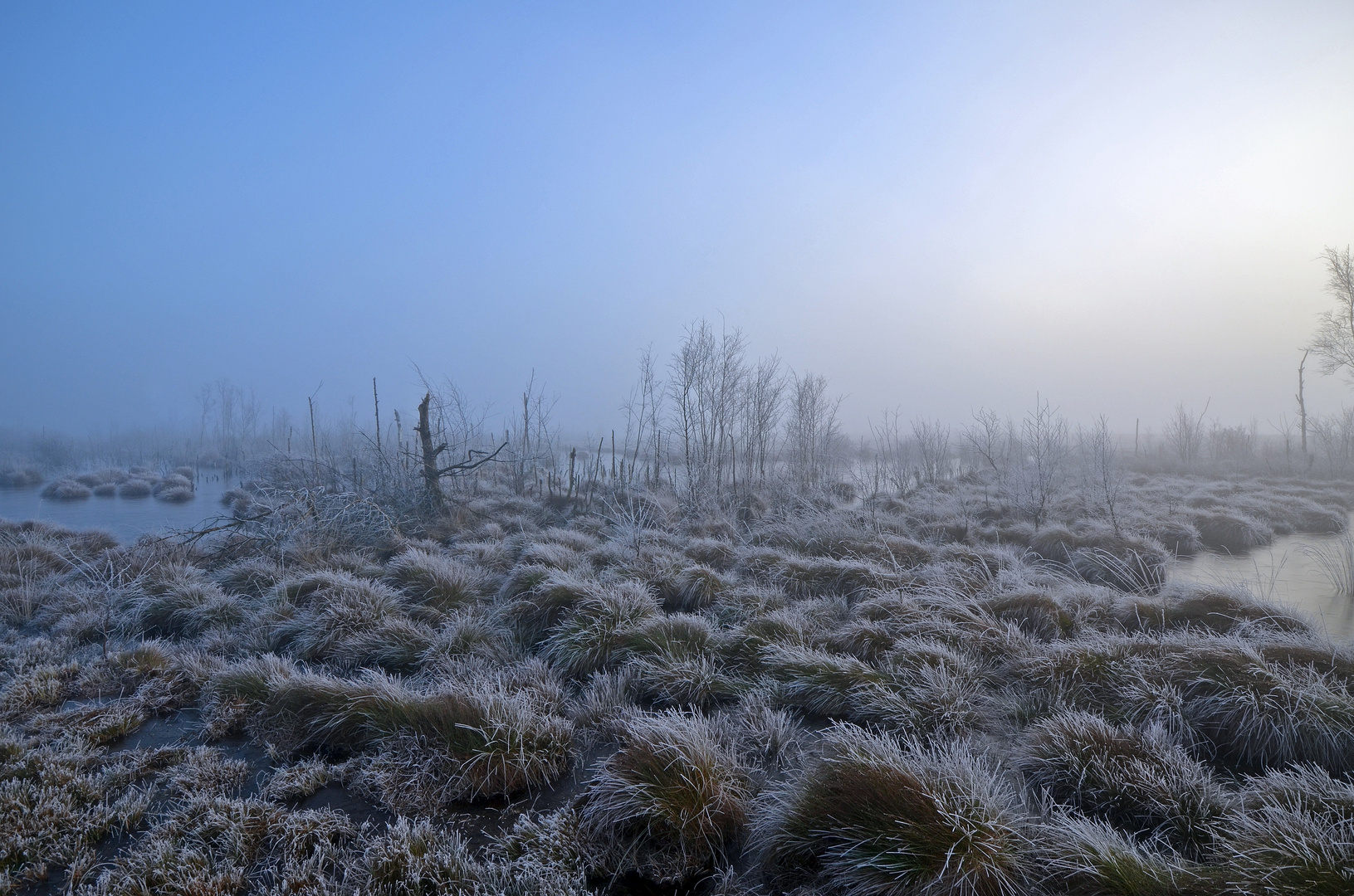 Winterlandschaft