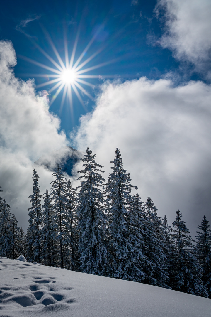 Winterlandschaft