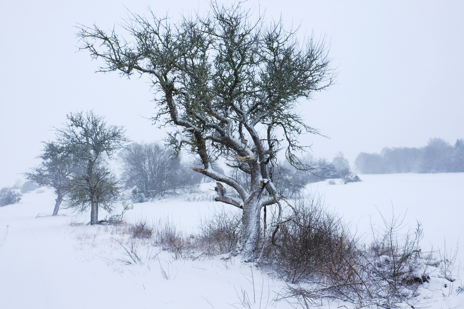 Winterlandschaft