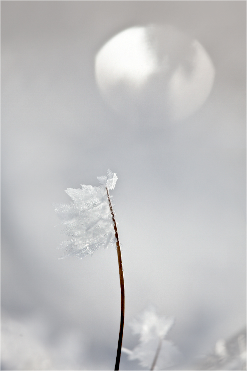 Winterlandschaft