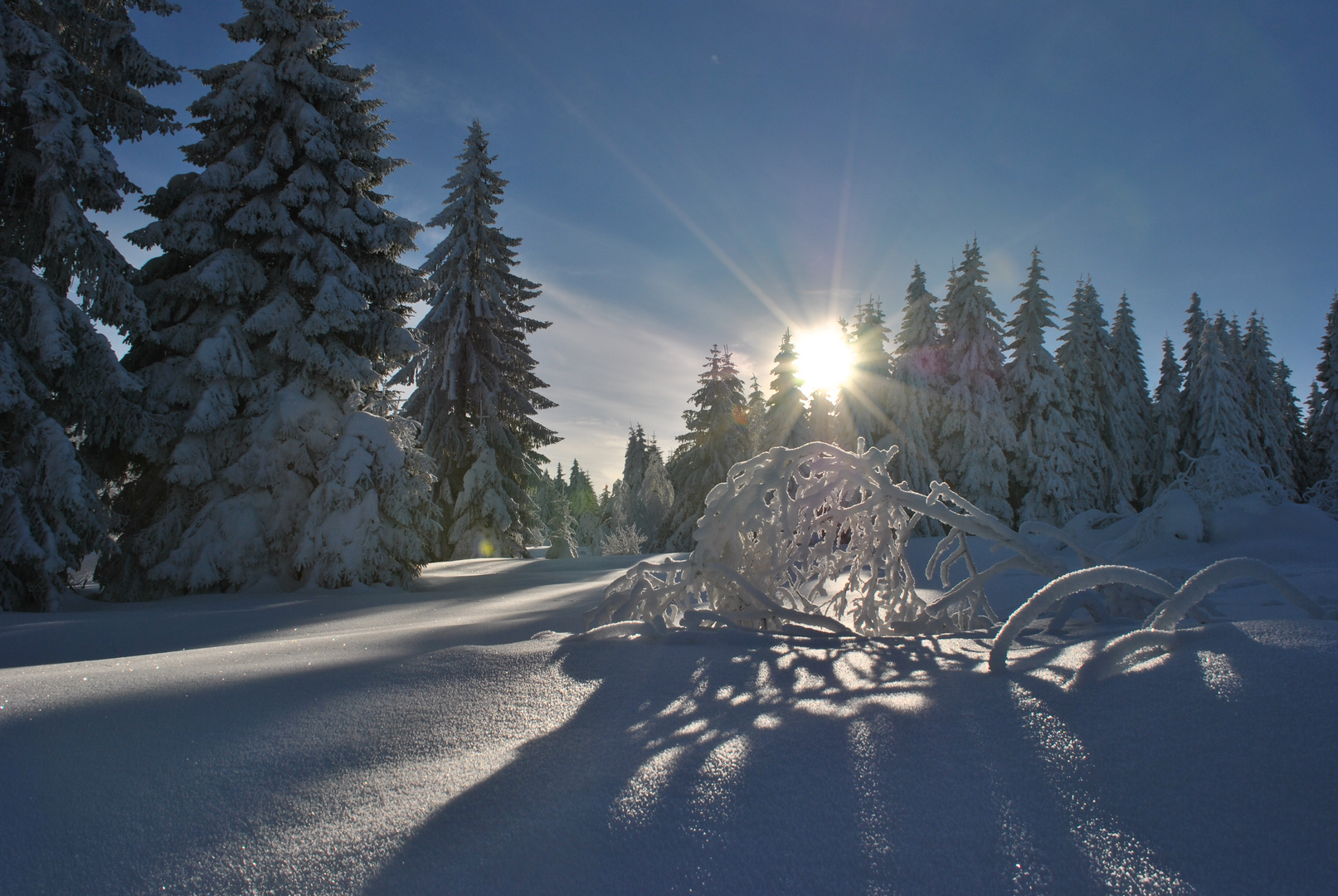 Winterlandschaft