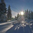 Winterlandschaft