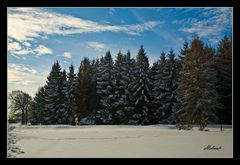 Winterlandschaft