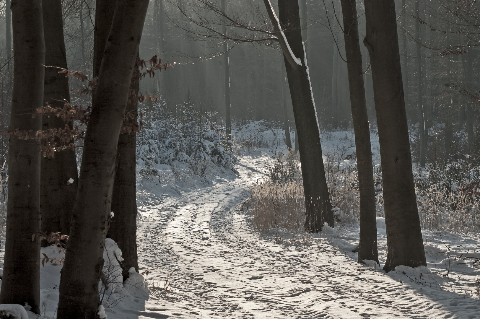 winterlandschaft