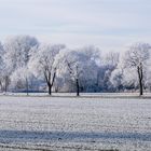 Winterlandschaft