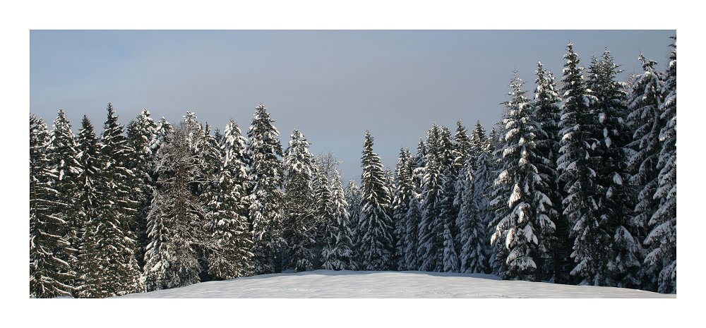 Winterlandschaft