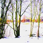 Winterlandschaft