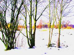 Winterlandschaft