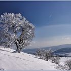 Winterlandschaft