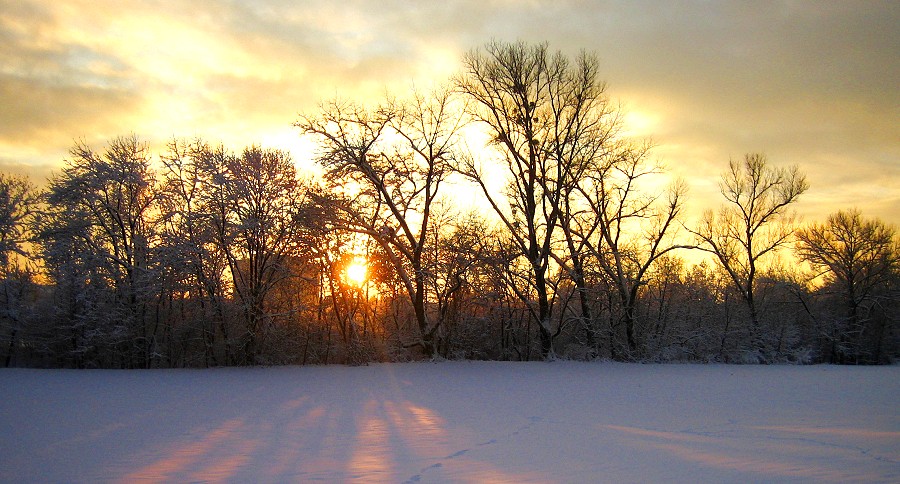 Winterlandschaft