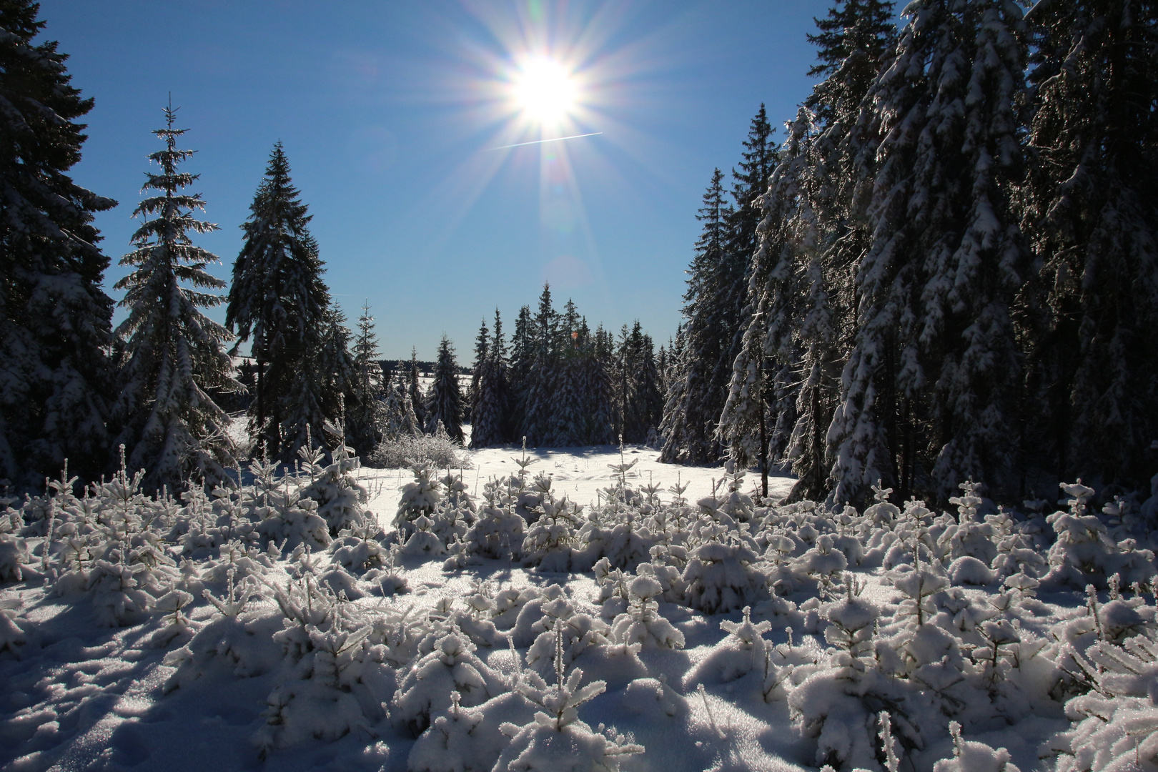 Winterlandschaft 