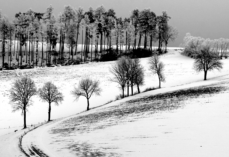 Winterlandschaft