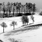 Winterlandschaft