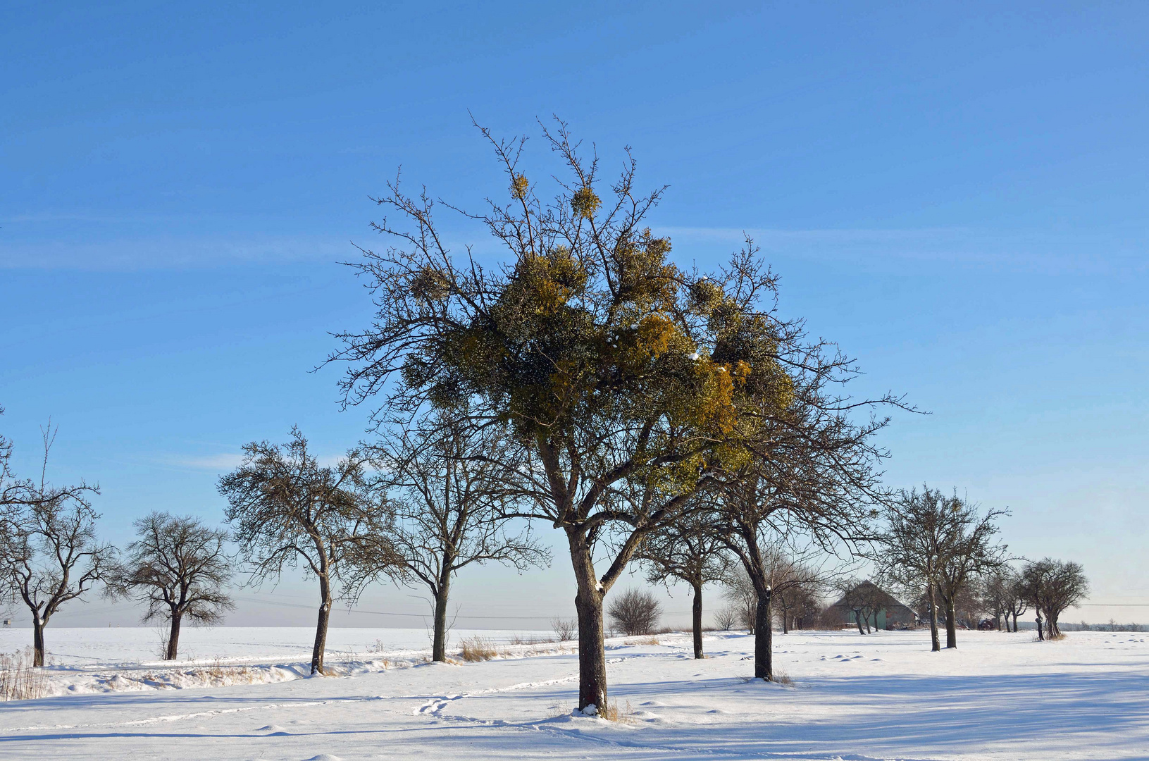 Winterlandschaft