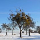 Winterlandschaft