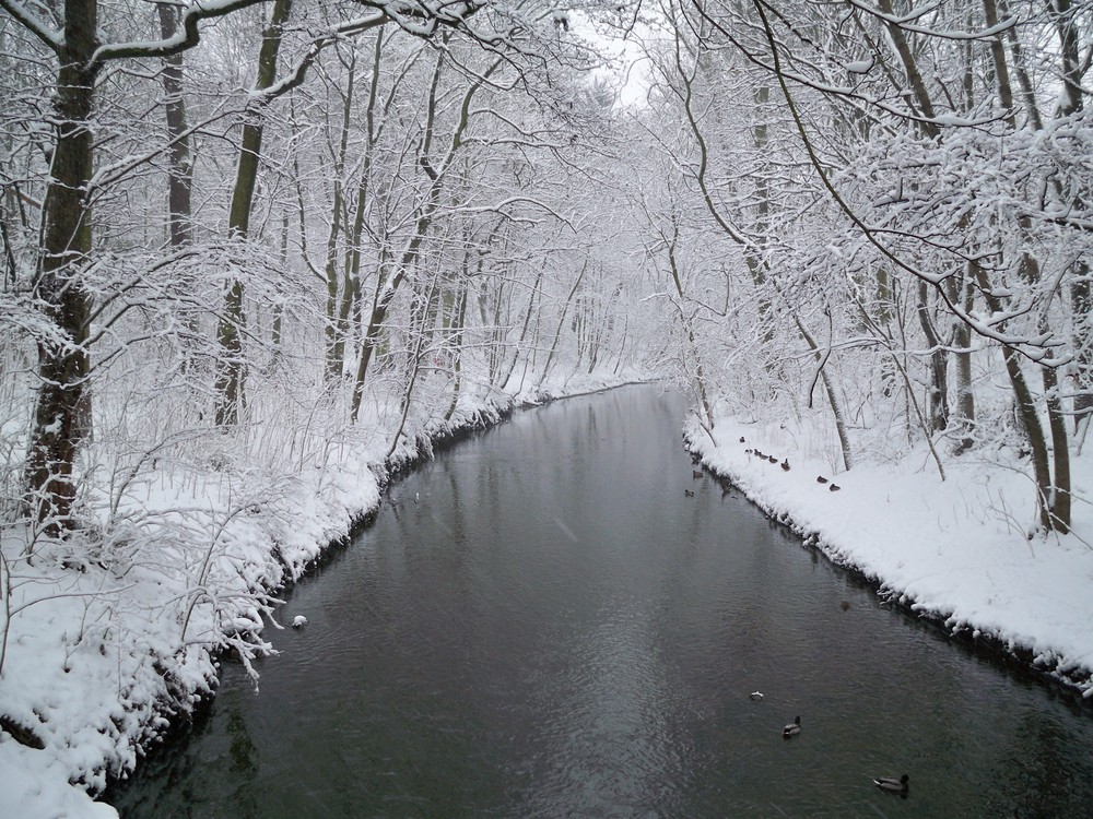 Winterlandschaft