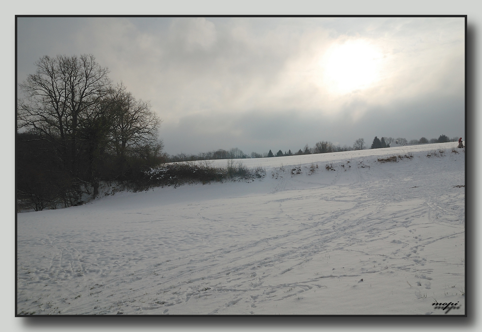 Winterlandschaft