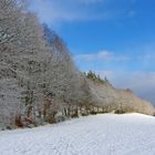 Winterlandschaft