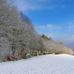 Winterlandschaft