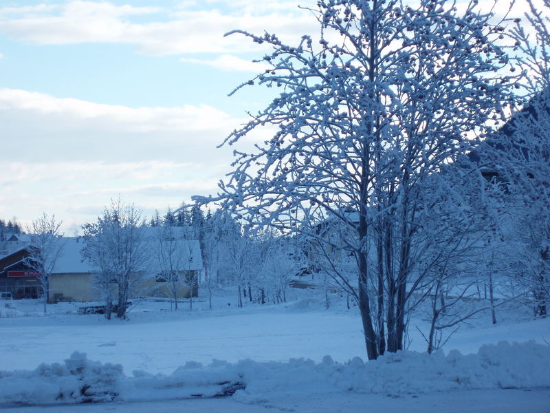 Winterlandschaft