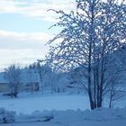 Winterlandschaft