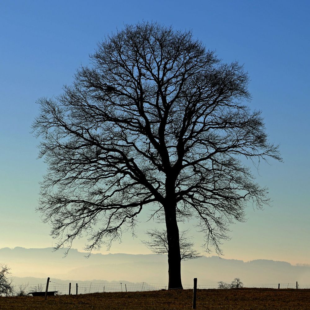 Winterlandschaft 