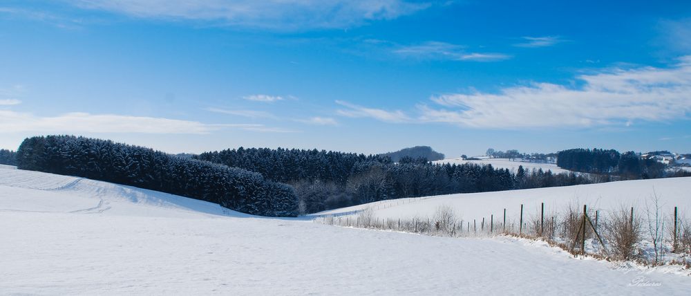 Winterlandschaft