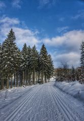 Winterlandschaft