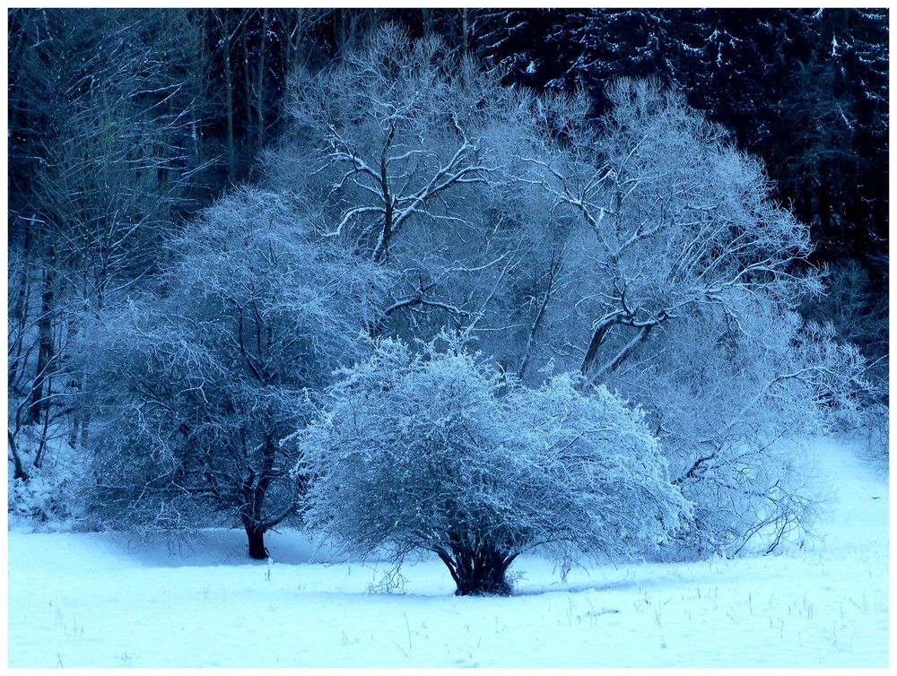 Winterlandschaft