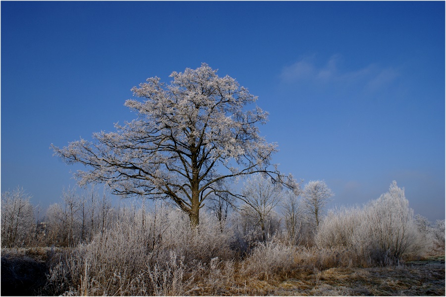 Winterlandschaft...