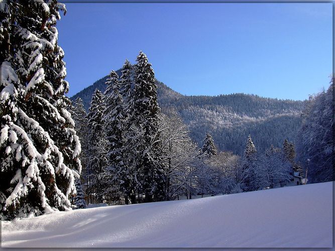 Winterlandschaft