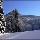 Winterlandschaft