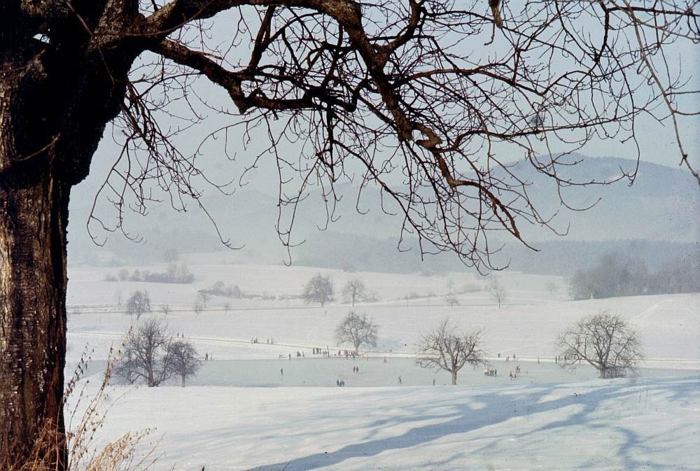 Winterlandschaft