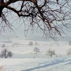 Winterlandschaft