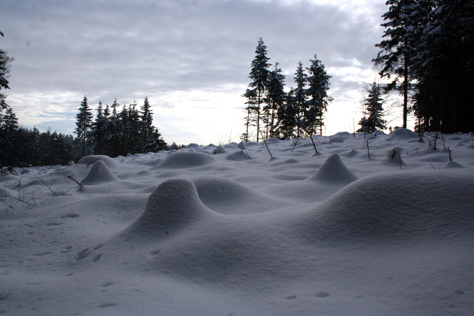 Winterlandschaft