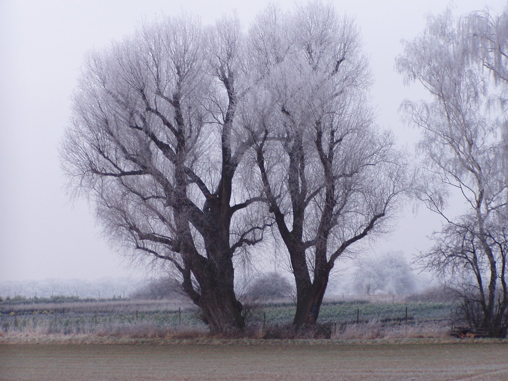 Winterlandschaft 3