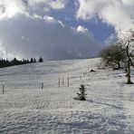 Winterlandschaft 3