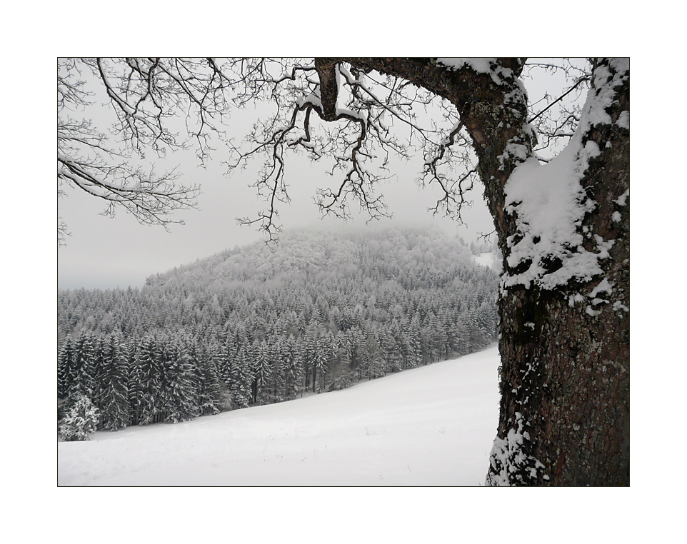 Winterlandschaft (3)