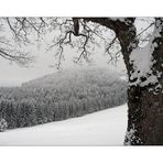 Winterlandschaft (3)