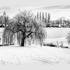 Winterlandschaft 3