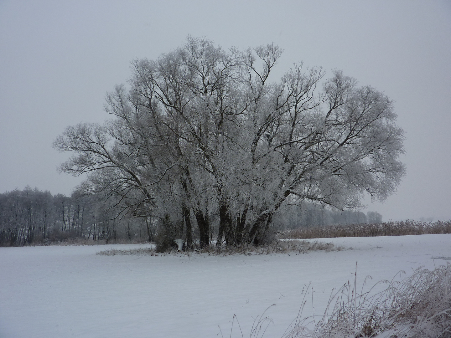 Winterlandschaft 3