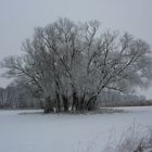 Winterlandschaft 3