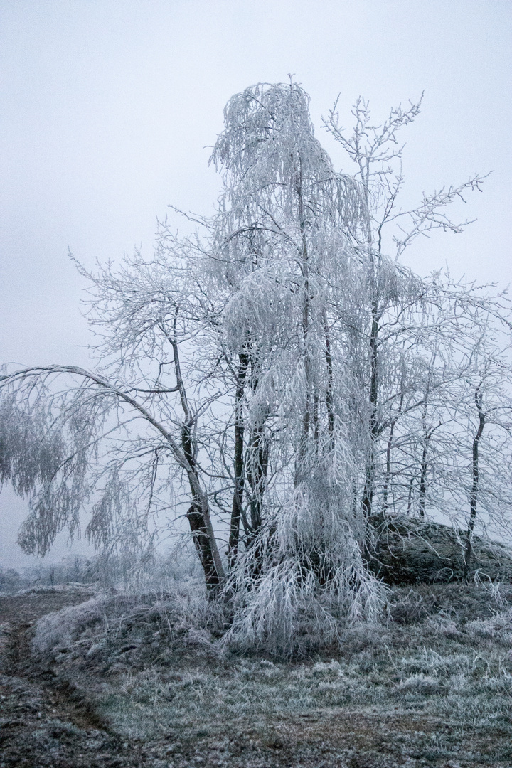 Winterlandschaft 3