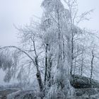 Winterlandschaft 3